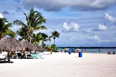 a beach with chairs and palm trees and the ocean at Boca del Mar Residence, Boca Chica in Boca Chica