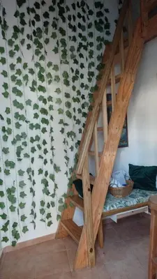 a staircase in a room with a wall covered in leaves at Doña Mayra Aparta Hotel, Rustico in Las Terrenas