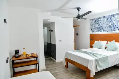 a bedroom with a bed and a ceiling fan at Honky Tonk Punta Cana in Punta Cana