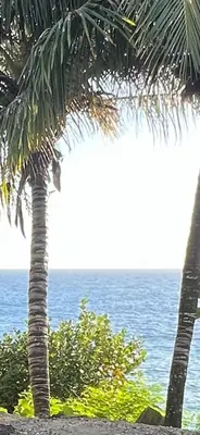two palm trees on the beach near the ocean at Posada Mar azul in La Viva