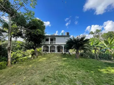 a white house with a palm tree in the yard at Country home in the hills of Samana in Santa Bárbara de Samaná