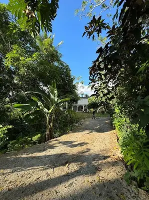 a dirt road with trees and a house in the background at Country home in the hills of Samana in Santa Bárbara de Samaná