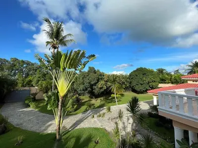a palm tree in a yard next to a house at Luxury Villa Classic style, 7 minutes from the beach in Sosua in San Felipe de Puerto Plata