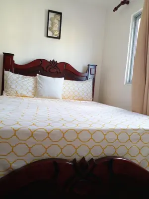 a bedroom with a large bed with a white comforter at Caleta in La Romana