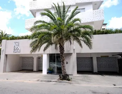a palm tree in front of a building at Refa 304 in Santo Domingo