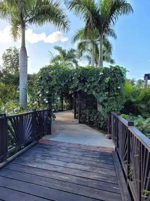 a wooden walkway with a gate and palm trees at El mejor alojamiento en Santiago in Santiago de los Caballeros