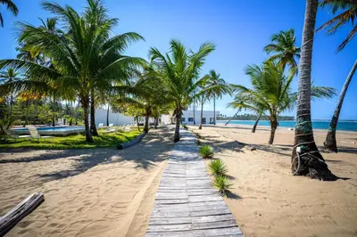 a wooden path on a beach with palm trees at The Palm Bay Club Lodge in Nagua