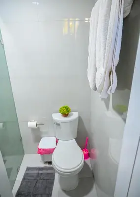 a white bathroom with a toilet with a plant on it at Suite in San Pedro De Macoris in San Pedro de Macorís