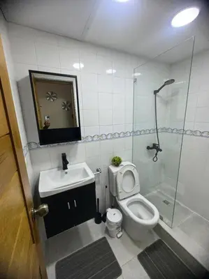 a bathroom with a toilet and a sink and a shower at Oasis en la Sultana del Este in San Pedro de Macorís