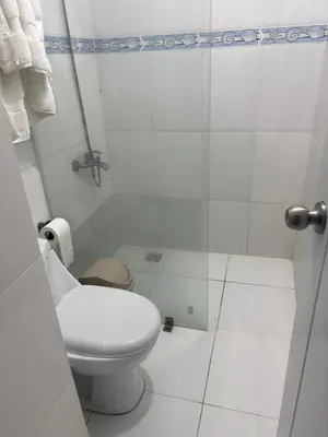 a white bathroom with a toilet and a shower at Apartamento de Lujo En San Pedro in San Pedro de Macorís