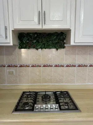 a kitchen stove top with a green plant at Playa Azul House in Bayahibe