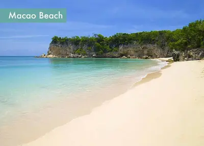 a sandy beach with the ocean and trees in the background at Caribbean Retreat at Cana Bay Golf Residence in Punta Cana