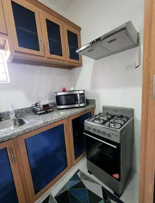 a kitchen with a stove and a microwave at Umbrella Street, city Center, close to many atracctions in San Felipe de Puerto Plata