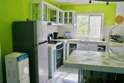 a kitchen with green walls and a white refrigerator at Camu in Camú