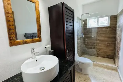 a bathroom with a sink and a toilet and a shower at La Fenice Beachfront with King Beds in Las Terrenas