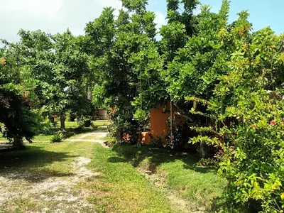 a path through a garden with trees and a house at Fata Morgana Eco Hotel in Las Terrenas