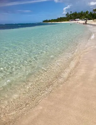 a beach with clear water and trees in the background at Juan Dolio, Beach Access 2 BR Apt Salitre Tower front of Club Hemingway in Juan Dolio
