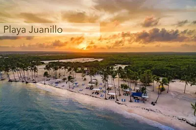an aerial view of a beach with palm trees and the ocean at Cana Pearl Penthouse, Hard Rock Golf & Casino in Punta Cana