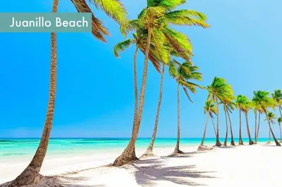 a row of palm trees on a beach at Tropical Caribbean space with 2 bedrooms C3 in Punta Cana