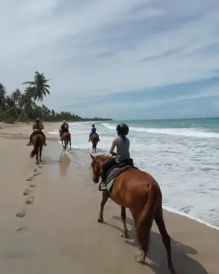 a group of people riding horses on the beach at beautiful beachfront complex with 2 pools, free wifi, free beach chairs in Punta Cana