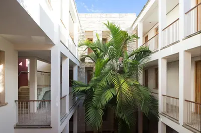a palm tree in the courtyard of a building at Billini Hotel, Historic Luxury in Santo Domingo