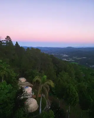 a palm tree on top of a hill with trees at NOMAD Domes Sky Watching at Jarabacoa in Jarabacoa