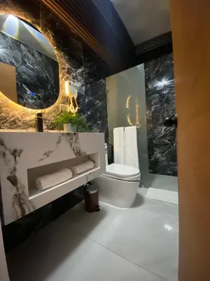 a bathroom with a toilet and a mirror at RIG Colonial Experience in Santo Domingo