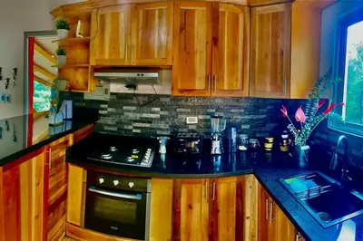 a kitchen with wooden cabinets and a black counter top at Villa Tortuga Constanza in Constanza