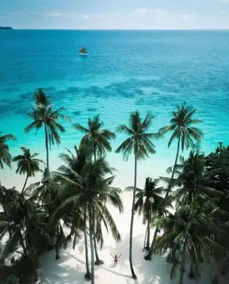 an aerial view of a beach with palm trees and the ocean at A Caribbean-style rebirth, 2 minutes from the beach in La Romana
