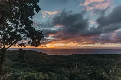 a sunset over the ocean with a tree at Casa El Paraiso, Eco Lodge in Santa Bárbara de Samaná
