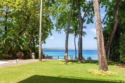 a park with palm trees and a view of the water at 