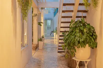 a corridor of a building with potted plants at 3 Studios at Casa Areito in Santo Domingo