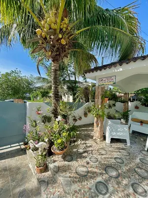 a palm tree sitting next to a white umbrella at Casa Tipo Villa, Piscina, Playas De RSJ a 4 min in Río San Juan