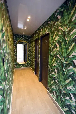a hallway with green plants on the walls at Solmi Rooms in Calero