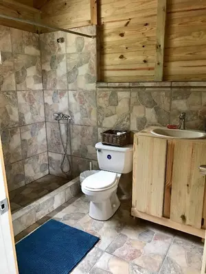 a bathroom with a toilet and a shower and a sink at Mango House Camino laguna in Cabarete