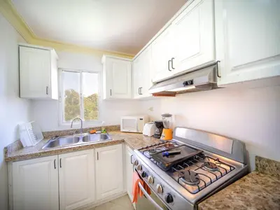 a kitchen with a stove top oven next to a sink at Garden Condos Apt 30 - Lovely 1br Condo W Pool in Sosúa