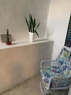 a chair and a potted plant on a shelf at Mi lugar de descanso in Moca