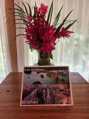 a book sitting on a table with a vase of flowers at Samo Eco Lodge in Las Terrenas