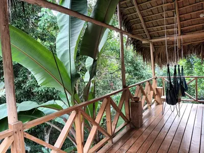 a wooden deck with a thatched roof and a palm tree at Samo Eco Lodge in Las Terrenas