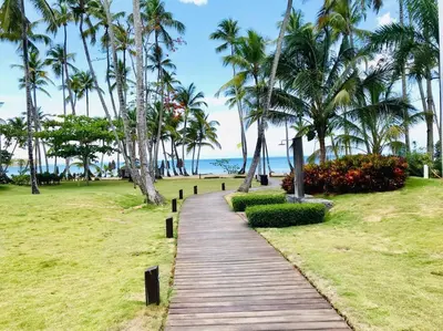 Gallery image of Amazing Beach front apt at playa bonita los delfines building #A1 in Las Terrenas