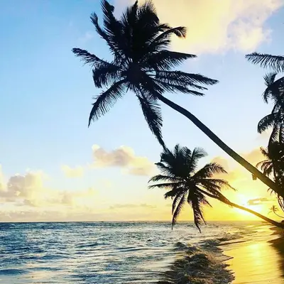 two palm trees on a beach with the ocean at Hotel NEON in Punta Cana