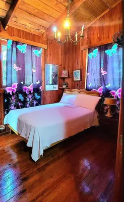 a bedroom with a bed with butterflies on the windows at Rancho Fernandez in Jarabacoa