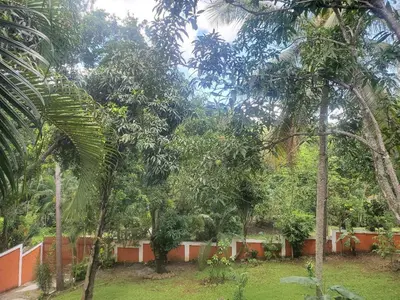 a group of trees in a yard with a fence at villa mariposa in Santo Domingo