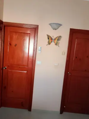a butterfly on the wall next to a door at TropicalHouse in Punta Cana