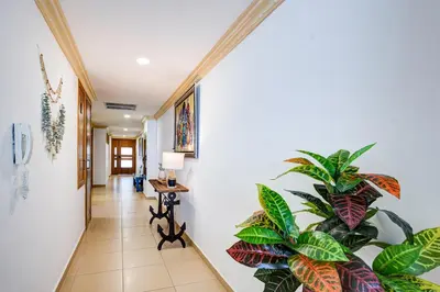 a hallway with a plant in a room at Huge Lux 3br Beachfront Condo Wifi Fast in Paraíso
