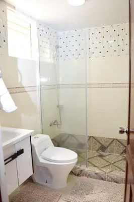 a bathroom with a toilet and a shower at Relax in this apartment in Santiago de los Caballeros