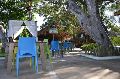 a group of chairs sitting at a table under a tree at Paradise Island Beach Resort in Punta Rucia
