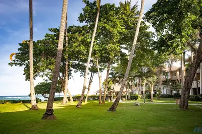 a group of palm trees in a park next to the ocean at Ocean front 2bdrm-2bath at Ocean Point 1 - Kitebeach Cabarete in Cabarete