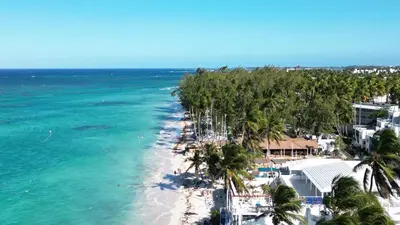 an aerial view of a beach with palm trees and the ocean at Tropical apartment 2 Bedroon in Los Corales in Punta Cana