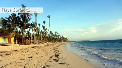 a beach with palm trees and the ocean at Tropical apartment 2 Bedroon in Los Corales in Punta Cana